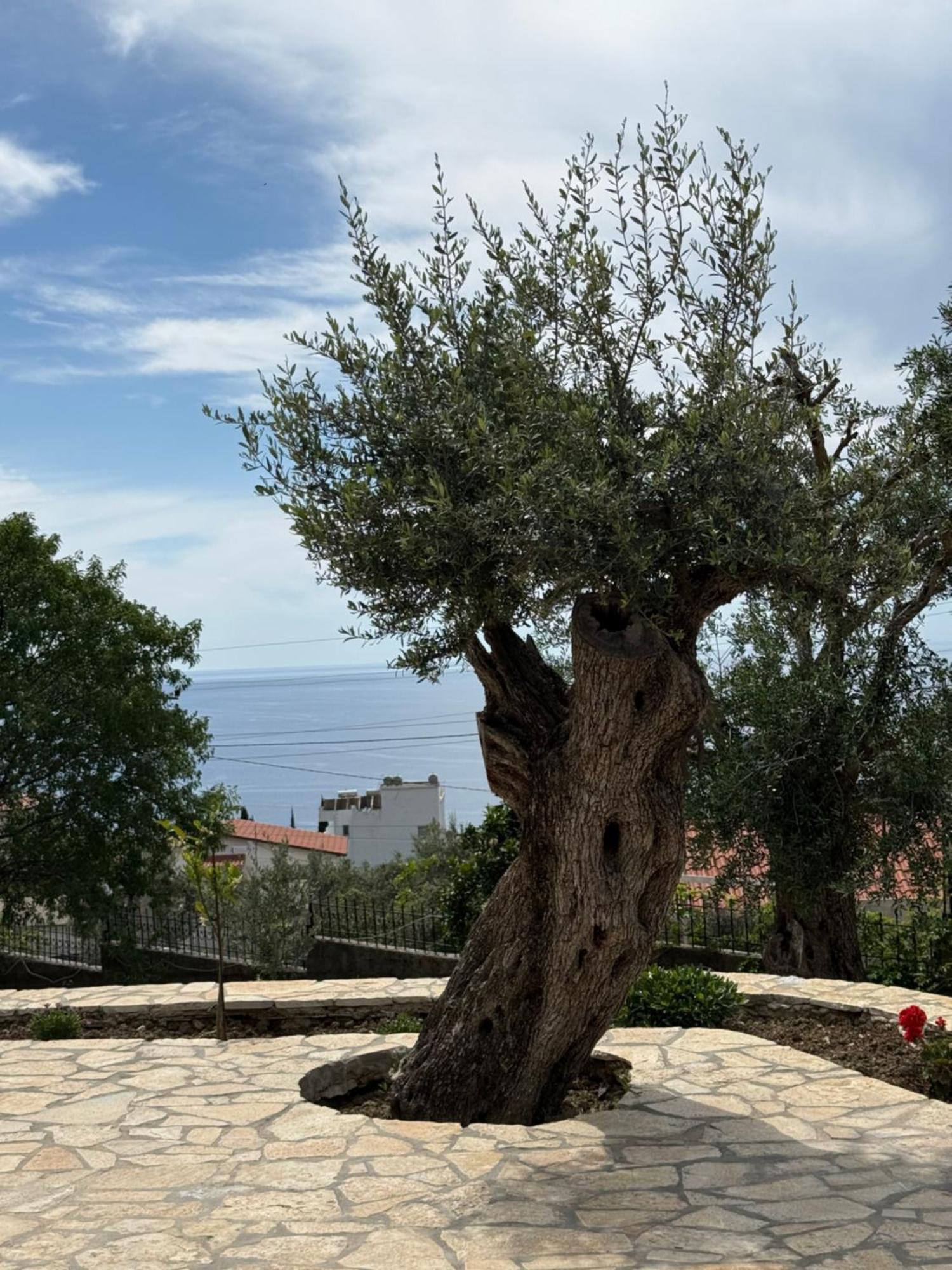 Villa Thomas Dhërmi Esterno foto
